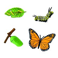 Animal Life Butterfly Life Cycle - Figure
