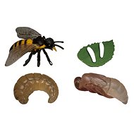 Animal Life Life Cycle Bees - Figure