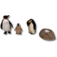 Animal Life Penguin Life Cycle - Figure