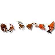Animal Life Primates and Monkeys 1 - Figure