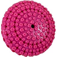 ANNAM Toy for dogs 11 cm, pink - Dog Toy