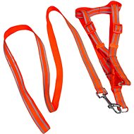 ANNAM Reflective leash set with harness, harness 45-55 cm, orange - Leash