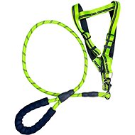 ANNAM Leash with harness 46-60 cm × 115 cm, green - Leash