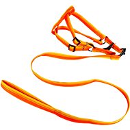 ANNAM Leash set with harness 2 cm, circumference 45-60 cm, leash 118 cm, orange - Leash