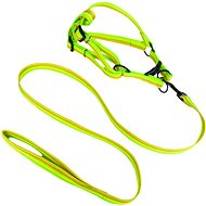 ANNAM Leash set with harness 2 cm, circumference 45-60 cm, leash 118 cm, green - Leash