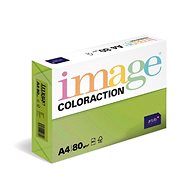 Antalis Colored paper Java / medium green A4 / 80 g / 500 pcs - Colour Paper
