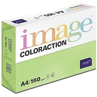 Antalis Colored paper Java / medium green A4 / 160 g / 250 pcs - Colour Paper