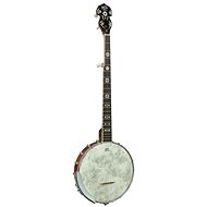 Barnes & Mullins BMBJ350G - Banjo
