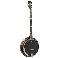 Barnes & Mullins BMBJ400E - Banjo
