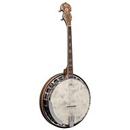 Barnes & Mullins BMBJ504BWGT - Banjo