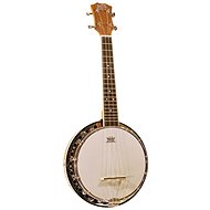 Barnes & Mullins BMUBJ1 - Banjo