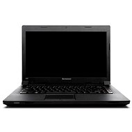 Lenovo Essential B490 - Notebook