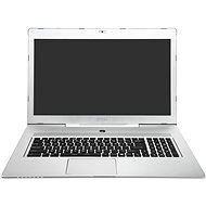 MSI Gaming GS70 2QE(Stealth Pro Silver Edition)-611AU - Notebook