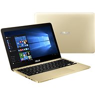 ASUS EeeBook X205TA-FD0076TS - Notebook