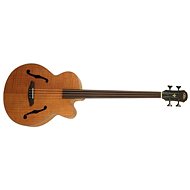 Aria FEB-FL/F - Bass Guitar