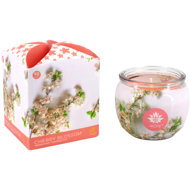ARÔME Cherry Blossom, 12 pcs - Candle Set