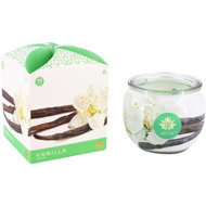 ARÔME Vanilla, 4 pcs - Candle Set