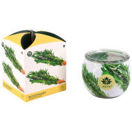 ARÔME Rosemary, 12 pcs - Candle Set