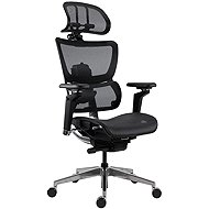ANTARES Glose, mesh, black - Office Chair