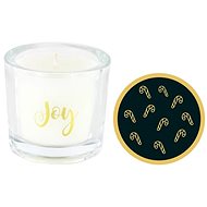 ASHLEIGH & BURWOOD Say it with scent Christmas Spice - Joy - Candle