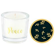 ASHLEIGH & BURWOOD Say it with scent Christmas Spice - Peace - Candle