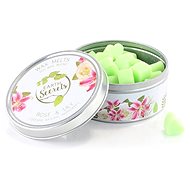 ASHLEIGH & BURWOODEarth secret - Rose & Lily - Aroma Wax