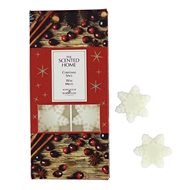 ASHLEIGH & BURWOOD The scented home - Christmas Spice - Aroma Wax