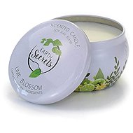 ASHLEIGH & BURWOOD Earth Secrets - Lime Blossom 140 g - Candle
