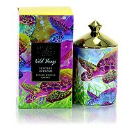 ASHLEIGH & BURWOOD Wild Things - Turtley Awesome GRAPEFRUIT & BERGAMOT 320 g - Candle