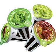Aspara Selection Of Lettuce Seed Kit - Seedling Planter