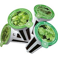 Aspara Herb Selection Seed Kit - Seedling Planter