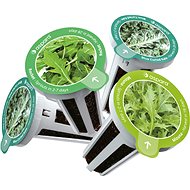 Aspara Seed Kit Special Selection of Salads - Seedling Planter