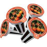 Aspara Cherry Tomatoes Seed Kit - Seedling Planter