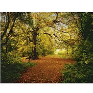 KOMAR - Paper Wall Mural 8-068 - Photo Wallpaper