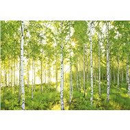 KOMAR - Paper Wall Mural 8-519 - Photo Wallpaper