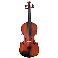 Antoni ASV44 - Geige