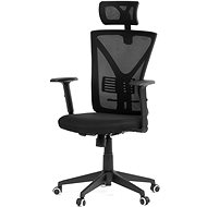 HOMEPRO Mahnaz black - Office Chair
