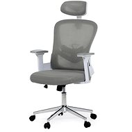 HOMEPRO Koda, grau - Bürostuhl