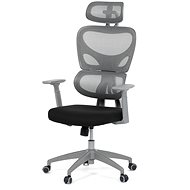 HOMEPRO Knox, grau - Bürostuhl