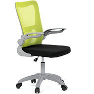HOMEPRO Kandor green - Office Chair