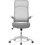 HOMEPRO Avelar Grey - Bürostuhl