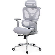 HOMEPRO Varox grey - Office Chair