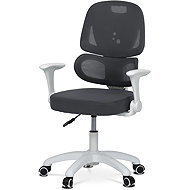 HOMEPRO Loda grau - Kinderschreibtischstuhl