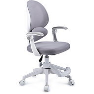 HOMEPRO Vimo grey - Children’s Desk Chair