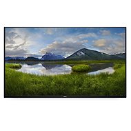 54,6" DELL P5524Q - Großformat-Display