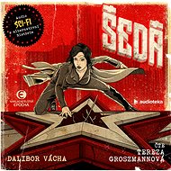 Grey - Dalibor Vácha