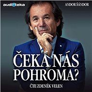 Are we in for a disaster? - Andor Šándor