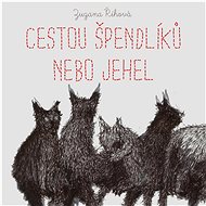 Cestou špendlíků nebo jehel - Zuzana Říhová