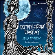 Tajemství stříbrné čarodějky - Petra Kubašková