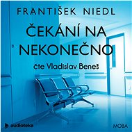 Čekání na nekonečno - František Niedl